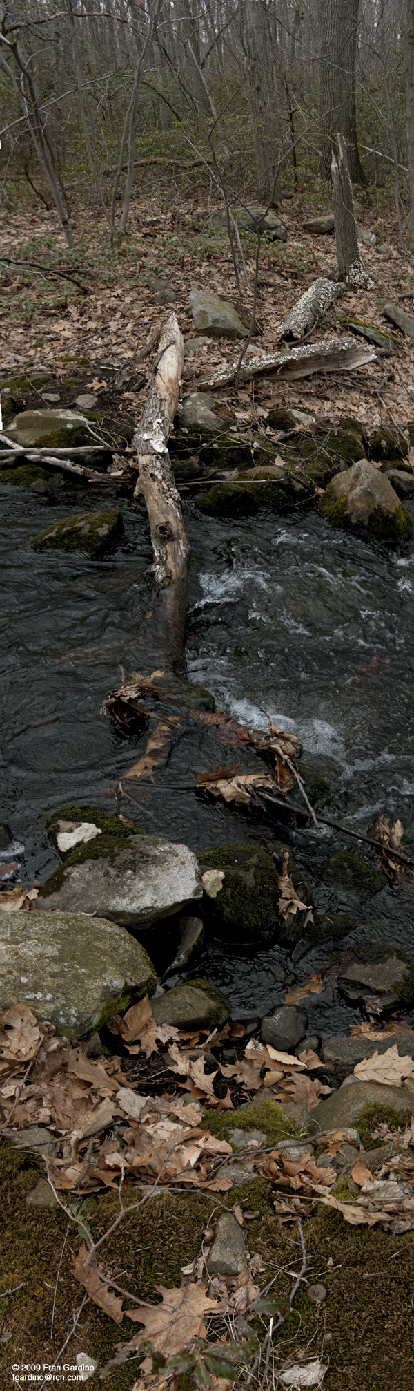 Worcester Brook