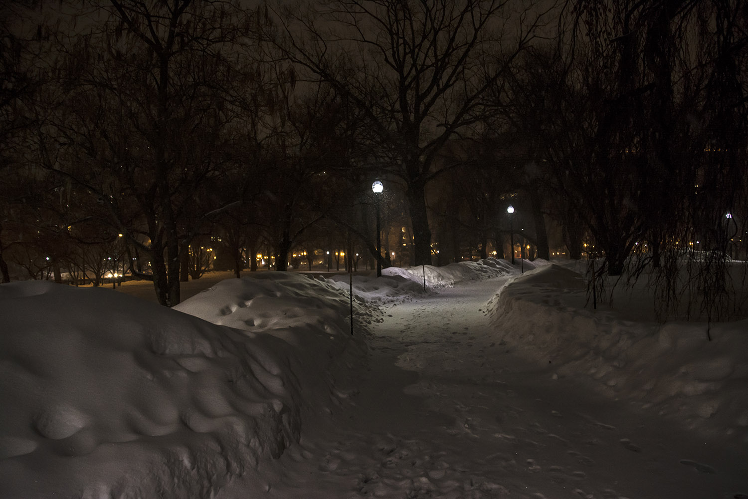 Boston Public Gardens at Night #14