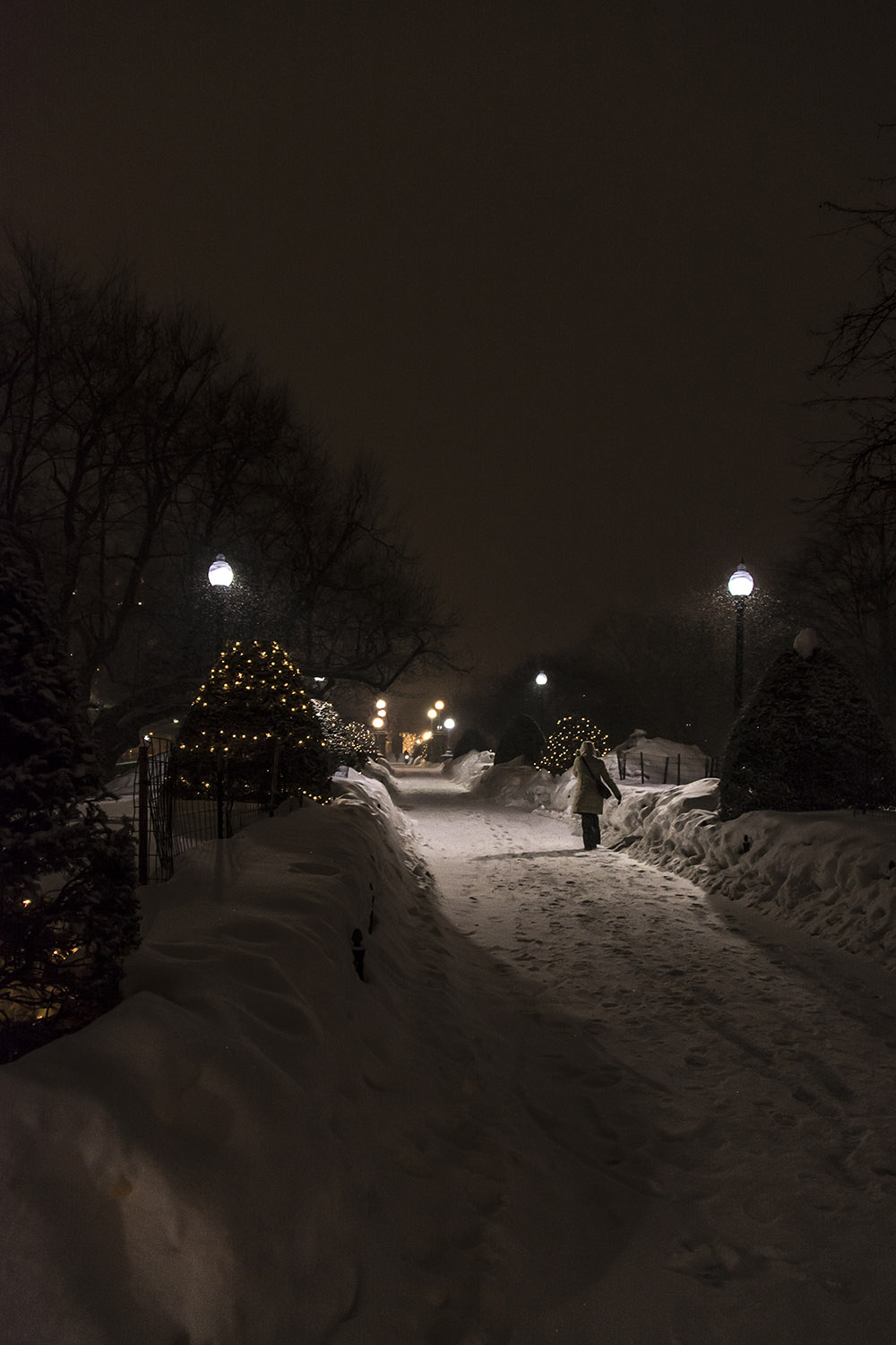 Boston Public Gardens at Night #58