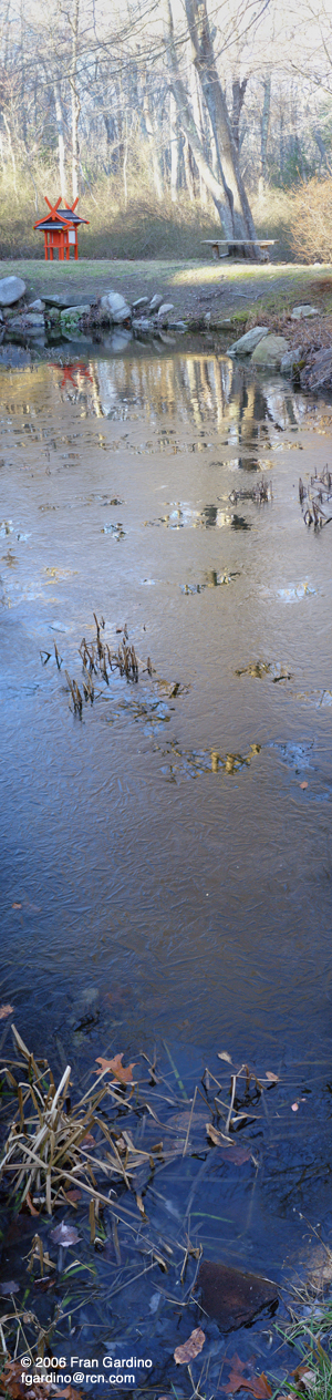 Duxbury Pond in Winter