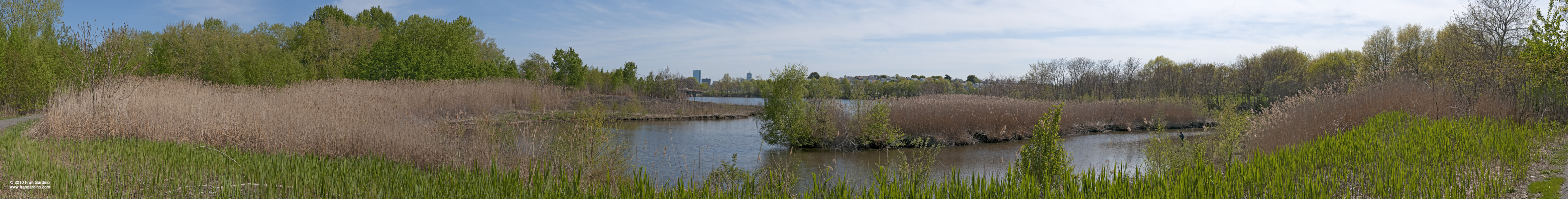 Mystic Marsh