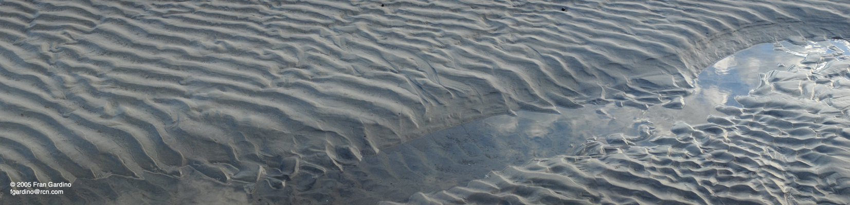 Water Panorama