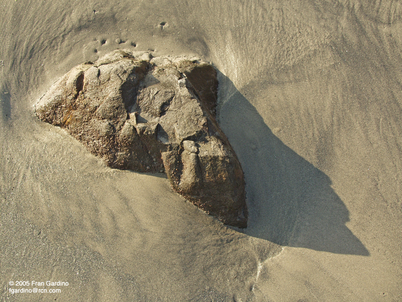 Sand Skull