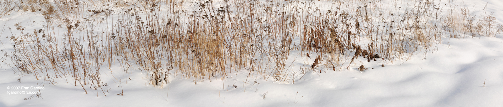 Charles Snowbank