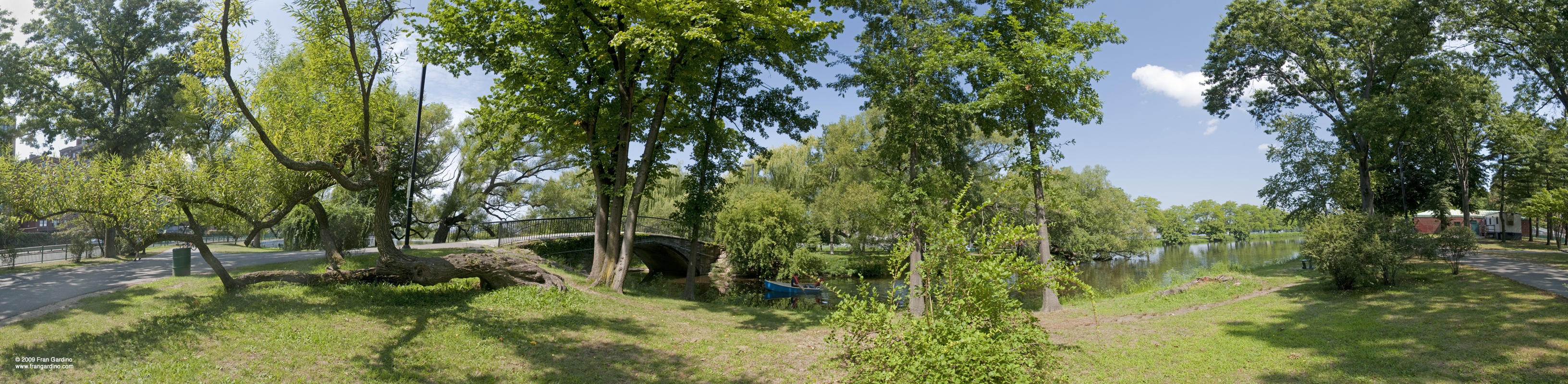 Charles River Pond Canoeing