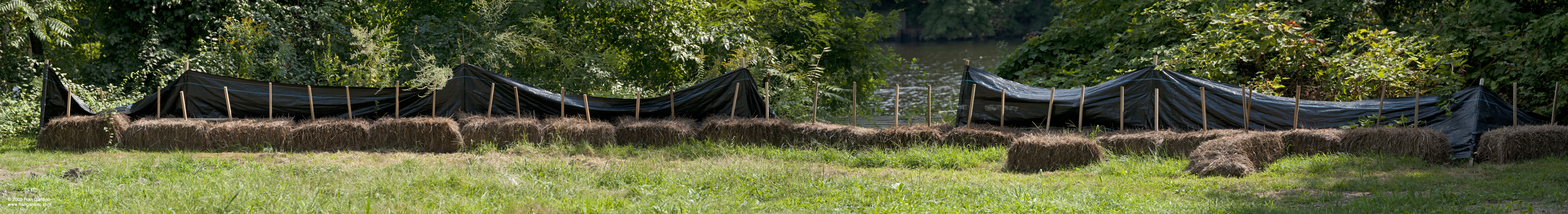 Hay Bales by the Charles