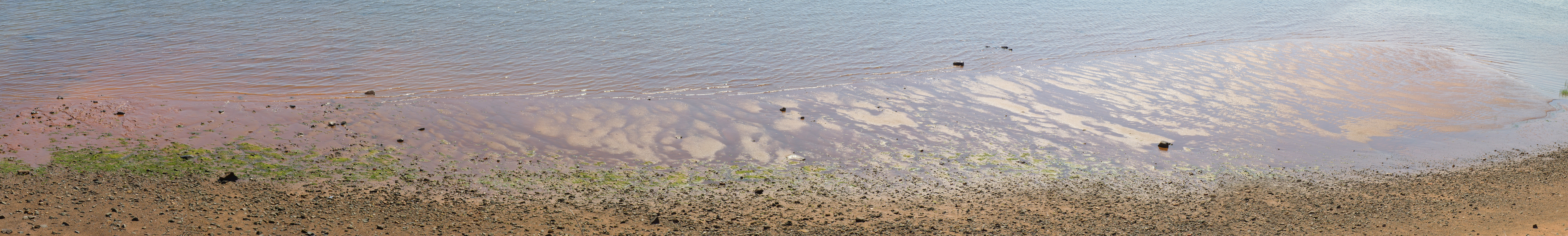 Medford Beach Pan