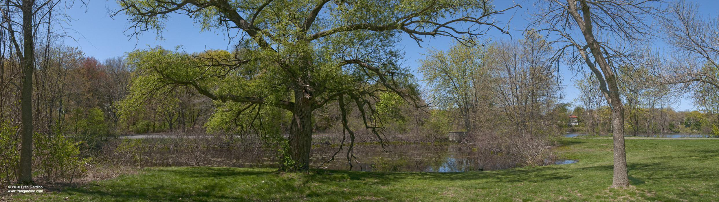 Mystic Pond View