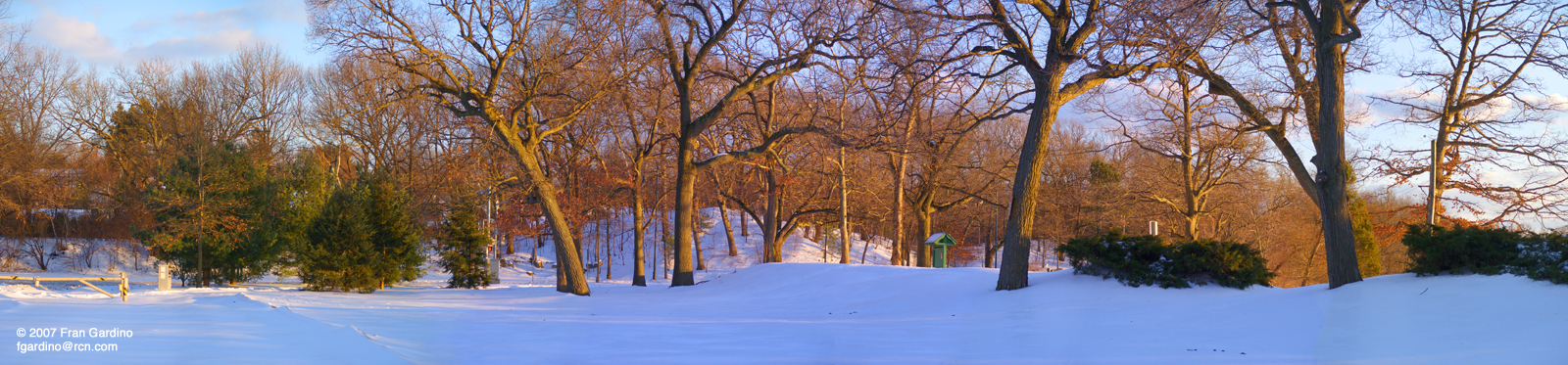 Mystic Field in Snow