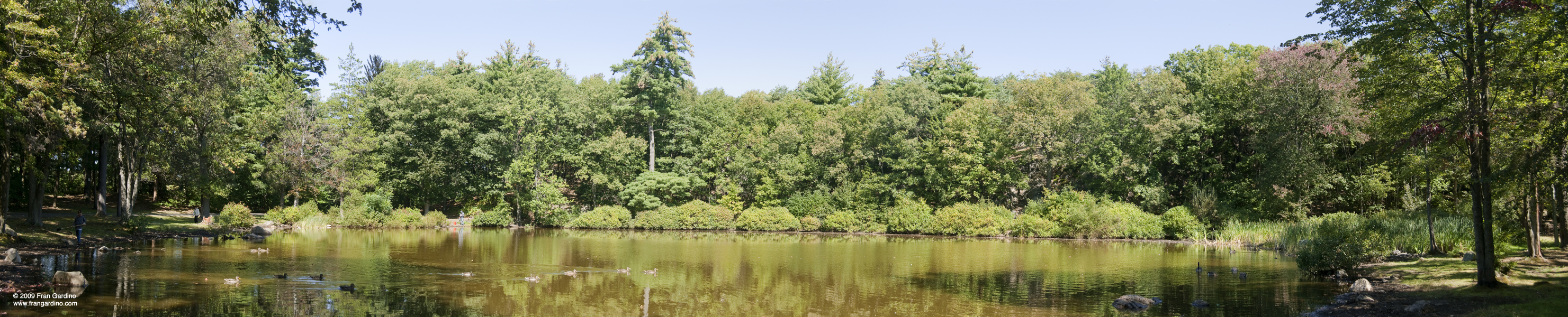 Pine Banks Pond Pond #1