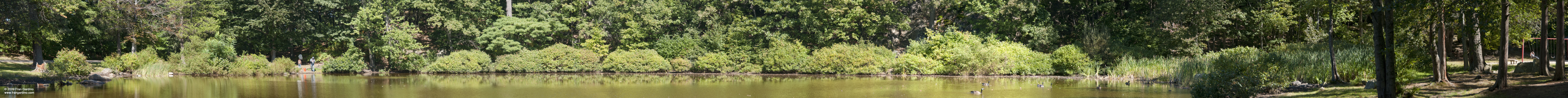 Pine Banks Pond #2