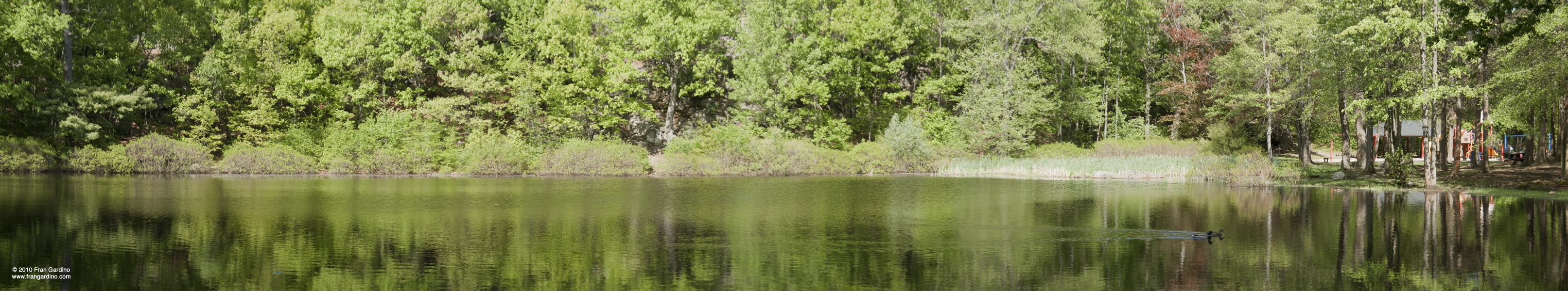 Pine Banks Pond #3