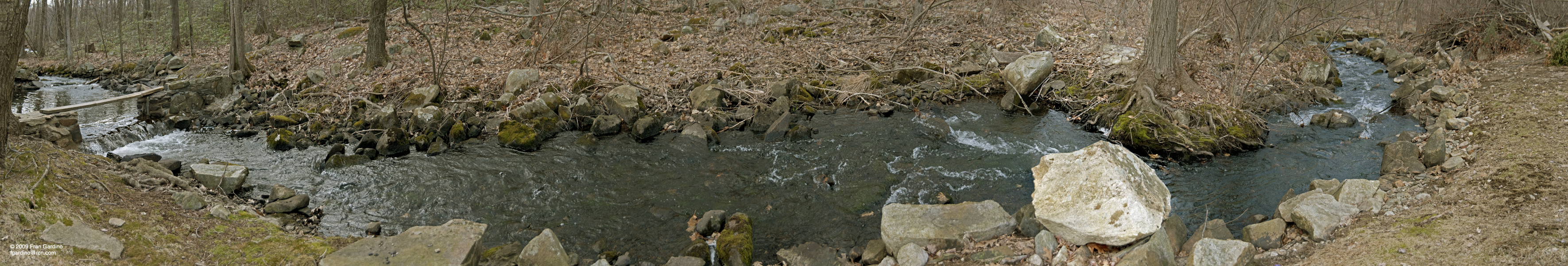 Auburn Brook